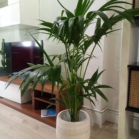 Apartamento Casco Viejo, Tranquilo, Reformado, A Pie Bilbao